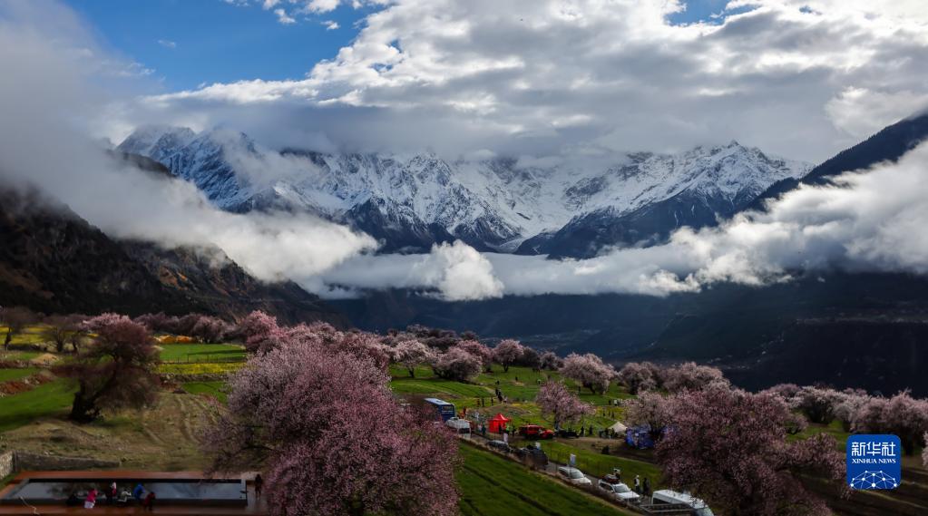 西藏米林：索松村桃花山色醉游人