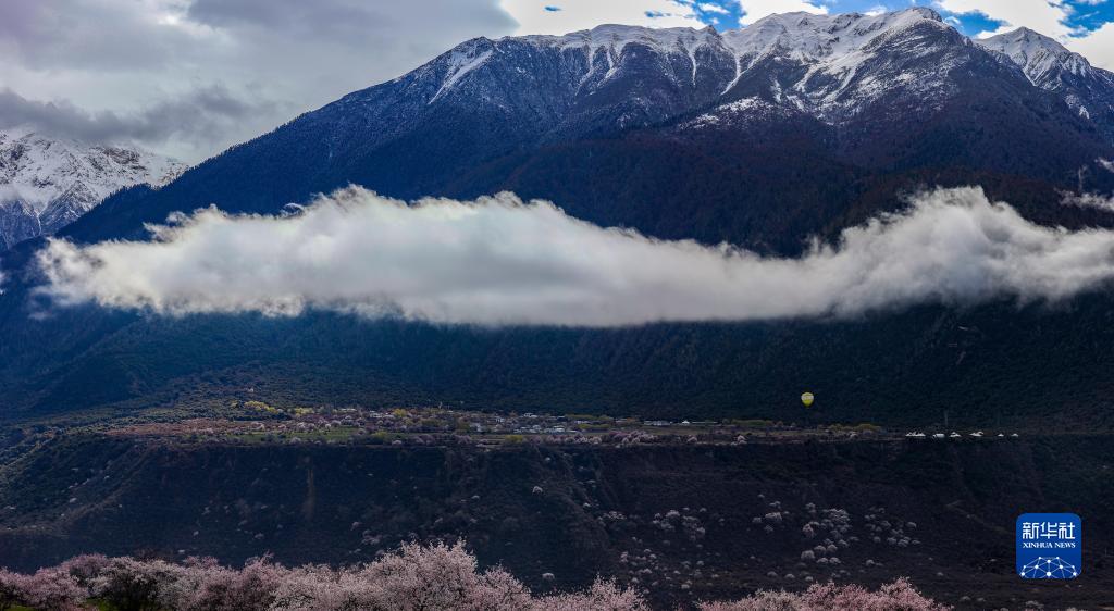 西藏米林：索松村桃花山色醉游人