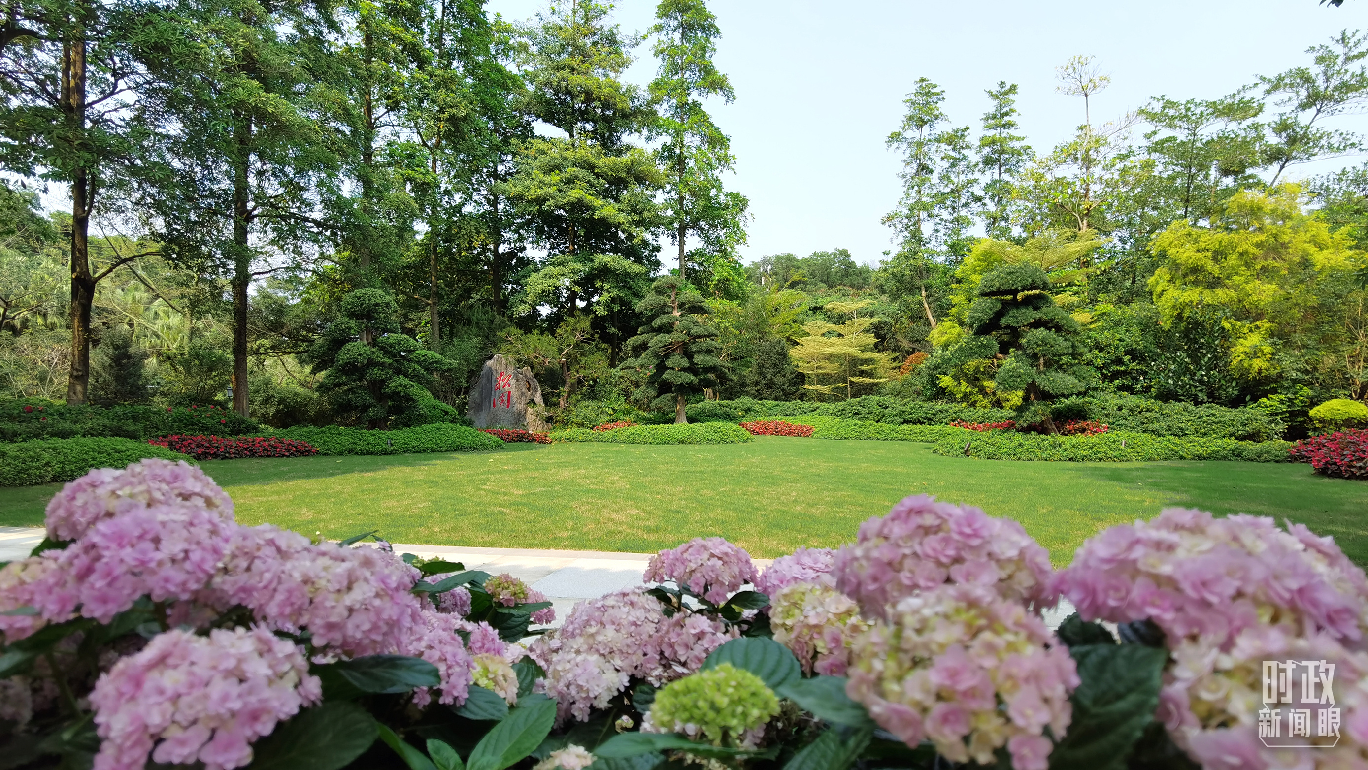 习近平会晤这两位欧洲政要,传递哪些重要信息?