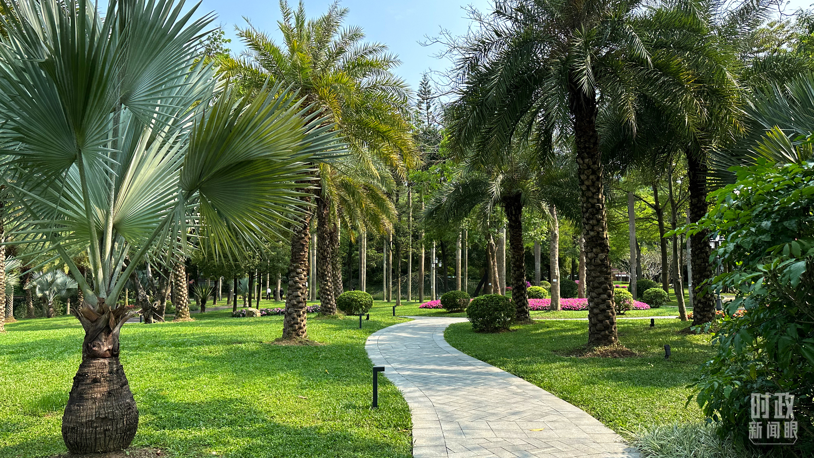 习近平会晤这两位欧洲政要,传递哪些重要信息?