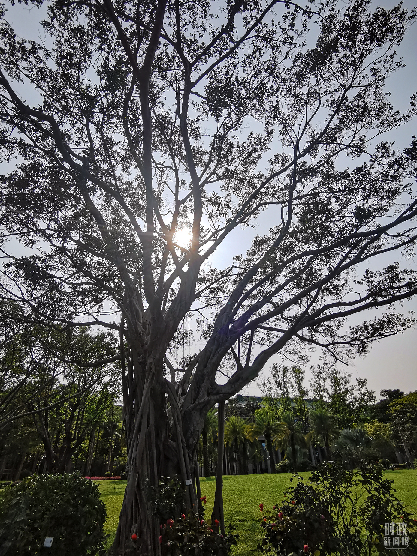 习近平会晤这两位欧洲政要,传递哪些重要信息?