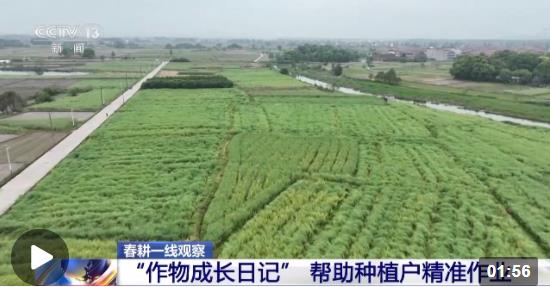 助力推行“稻-稻-油”种植模式 作物也有“成长日记”了