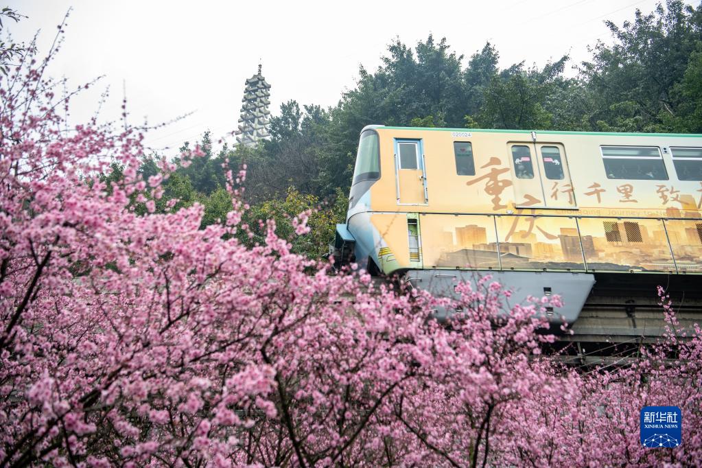 体育地理｜跑酷山城