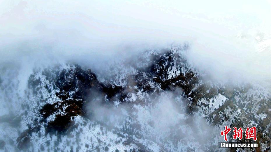 柴达木盆地柏树山云海翻腾宛若仙境