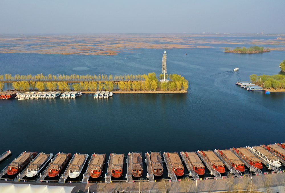 潮头观澜｜“未来之城”正在走来