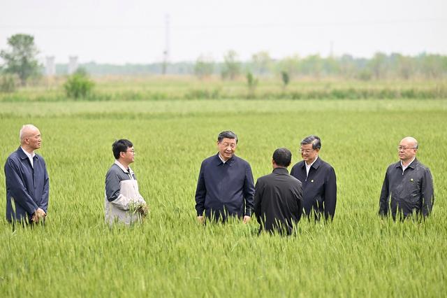 习近平在沧州市考察调研