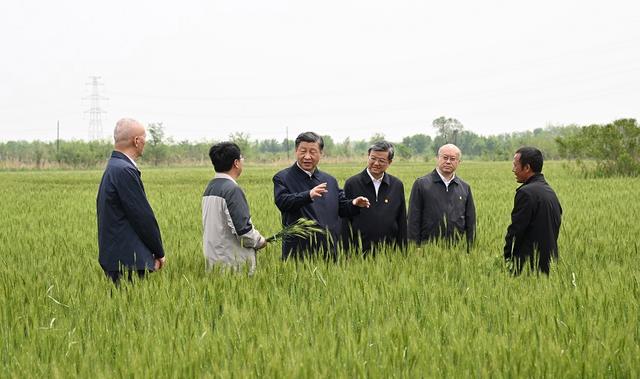 习近平在沧州市考察调研