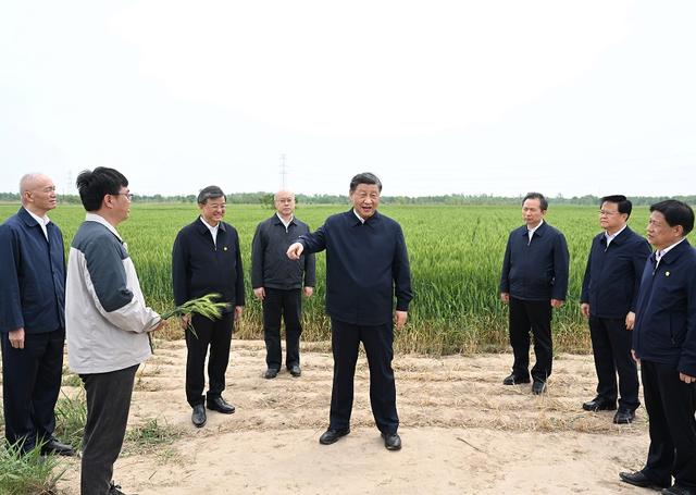 习近平在沧州市考察调研