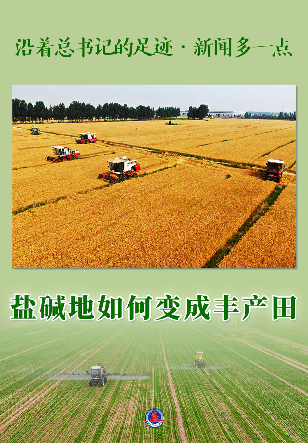 沿着总书记的足迹·新闻多一点 | 盐碱地如何变成丰产田