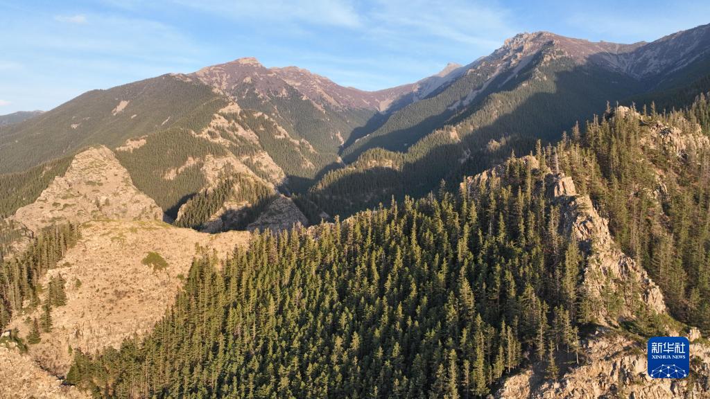 初夏贺兰山