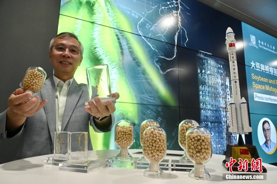 香港中大大豆“根瘤菌”项目随天舟六号升空进入中国空间站