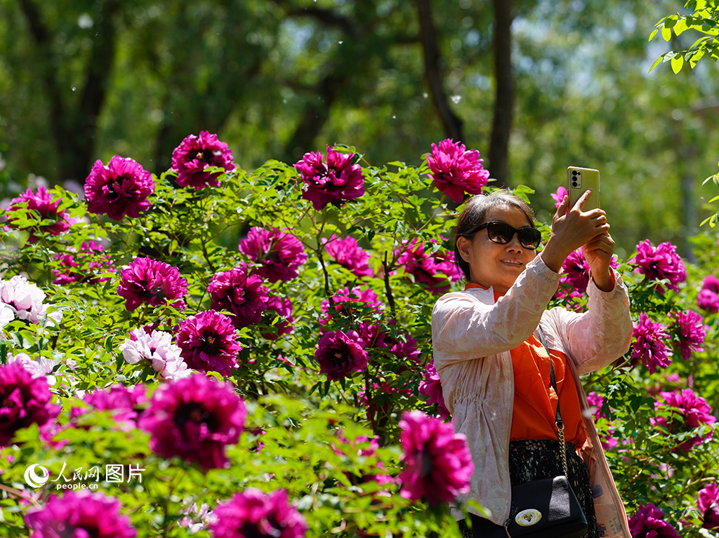 美好中国 幸福旅程