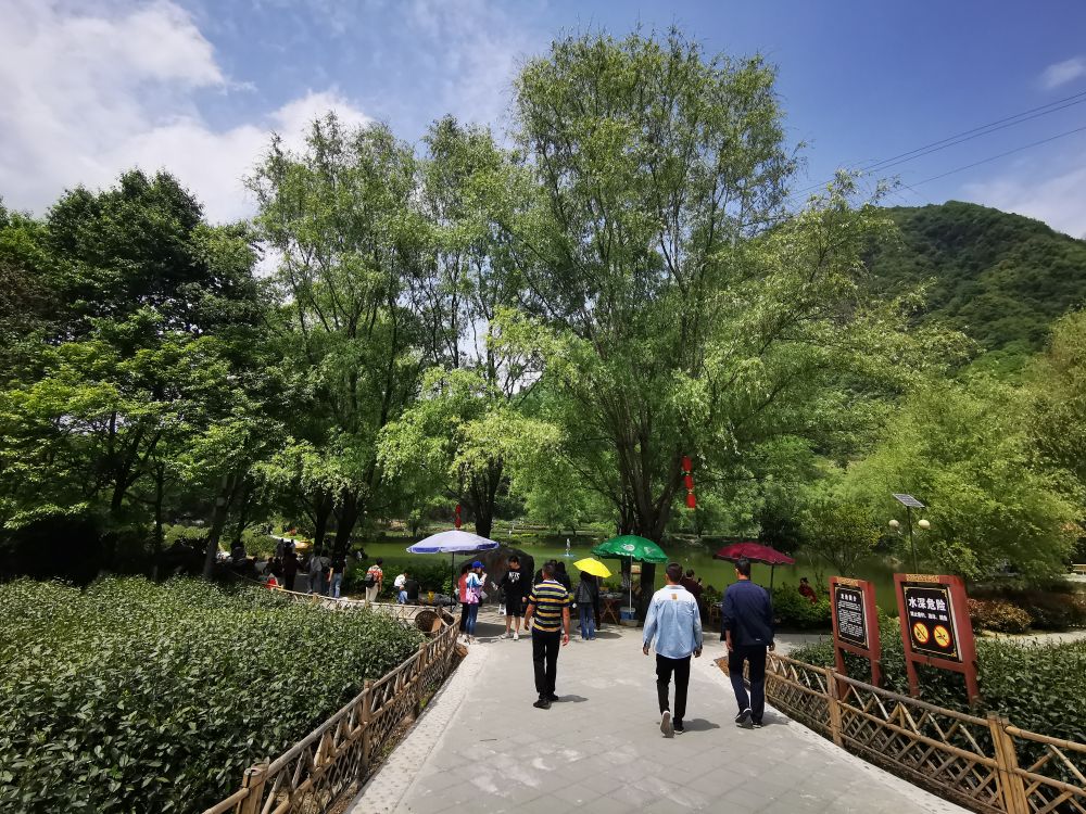 县域旅游火了！透视小地方的“出圈秘籍”