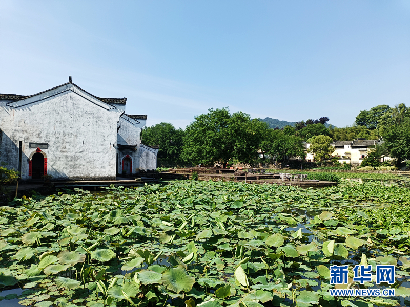 开启“美颜”模式 乡村处处皆风景