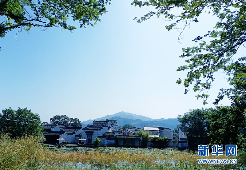 开启“美颜”模式 乡村处处皆风景