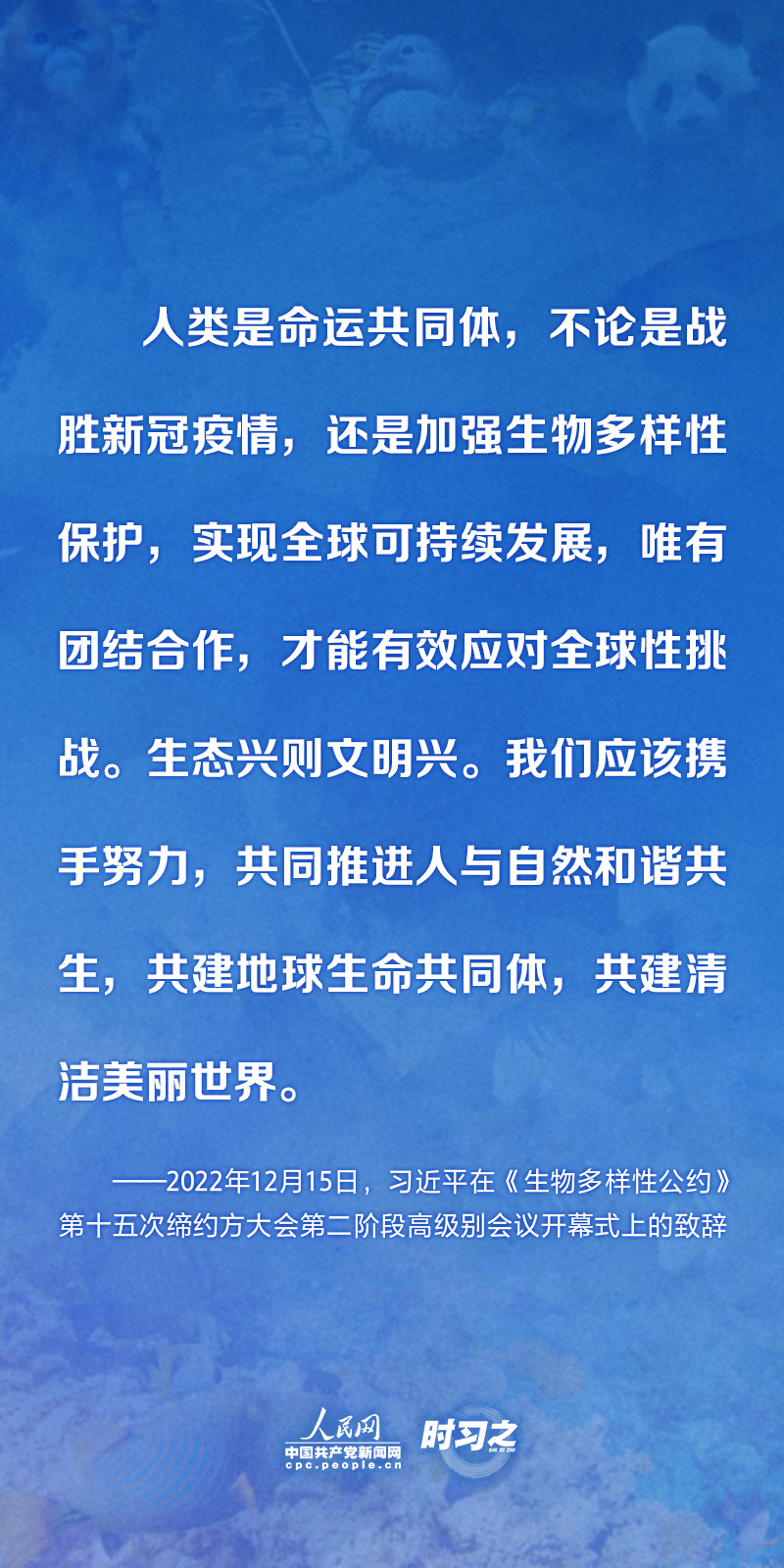 保护生物多样性 习近平提出这些中国主张