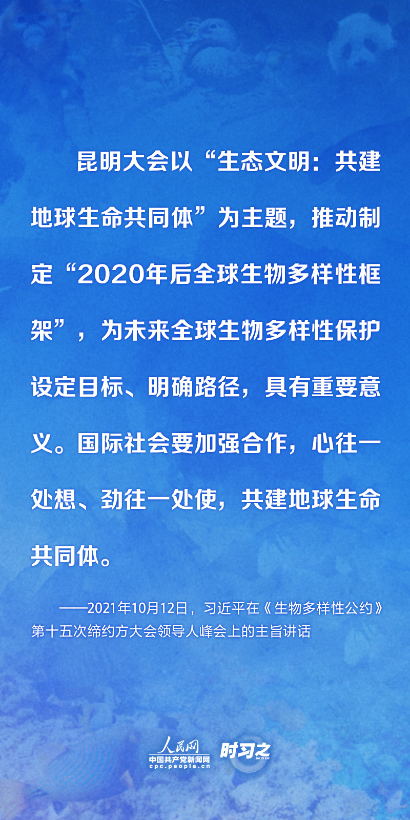 保护生物多样性 习近平提出这些中国主张