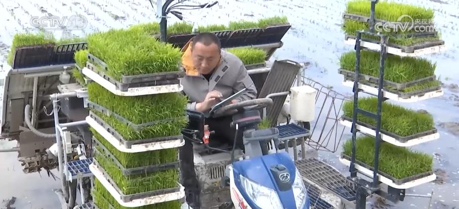 一亩田“减肥”又增收 种植户感受智慧化种田“乐趣”