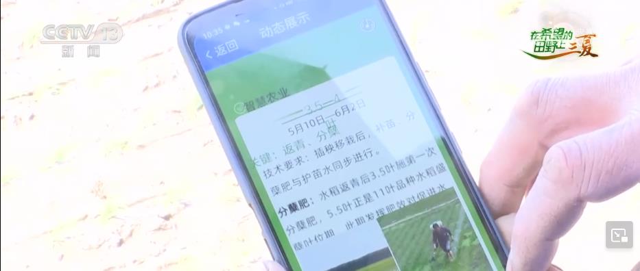 一亩田“减肥”又增收 种植户感受智慧化种田“乐趣”