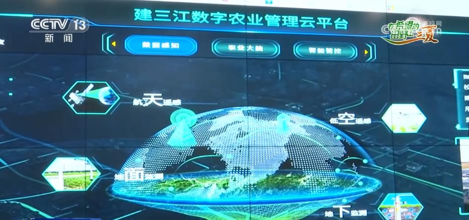 一亩田“减肥”又增收 种植户感受智慧化种田“乐趣”