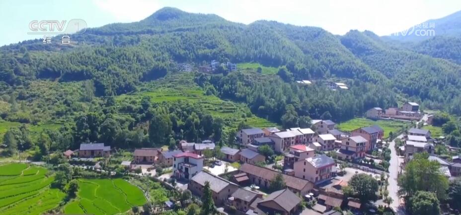 青春匠心 | 精耕农旅融合 迎来乡村“蝶变”