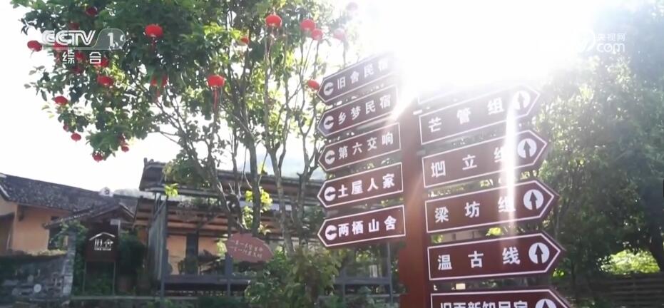 青春匠心 | 精耕农旅融合 迎来乡村“蝶变”