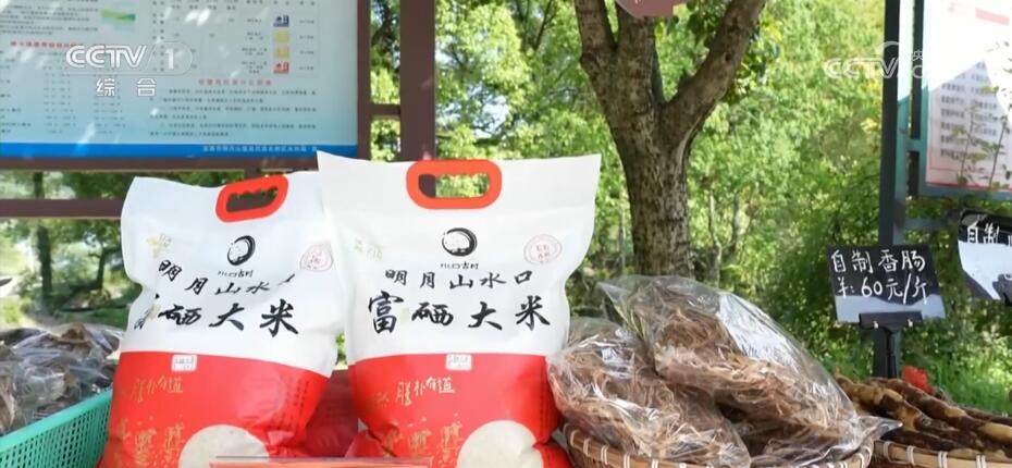 青春匠心 | 精耕农旅融合 迎来乡村“蝶变”