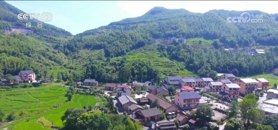 青春匠心 | 精耕农旅融合 迎来乡村“蝶变”