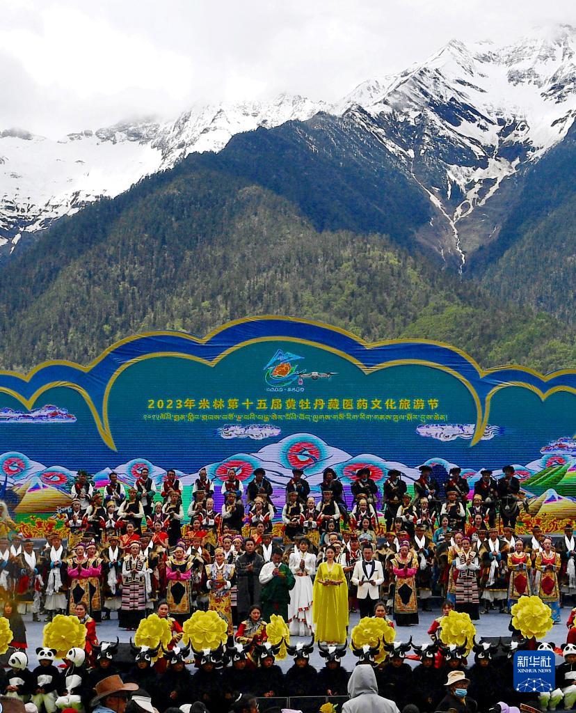 西藏米林：珍稀牡丹引客来