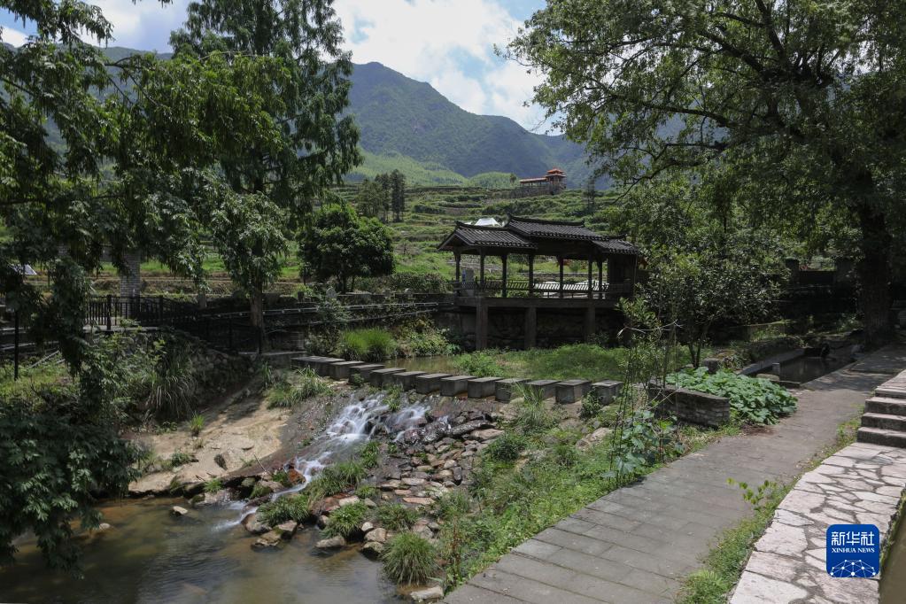 高质量发展调研行丨浙江：深化“千万工程” 建设未来乡村