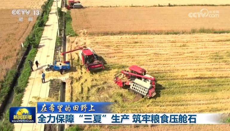 【在希望的田野上】全力保障“三夏”生产 筑牢粮食压舱石