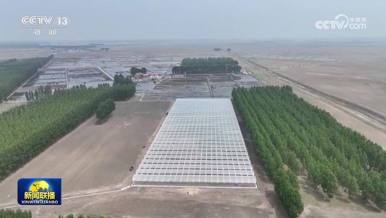 【在希望的田野上】全力保障“三夏”生产 筑牢粮食压舱石