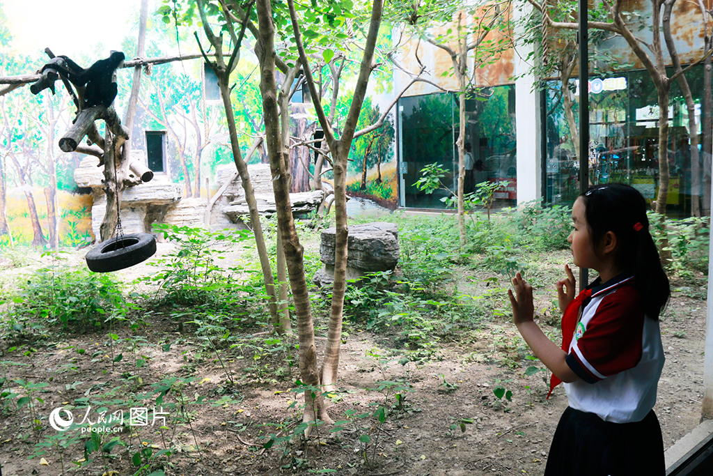 5月31日，小朋友在天津动物园观赏动物，开心游玩。人民网记者 唐心怡摄