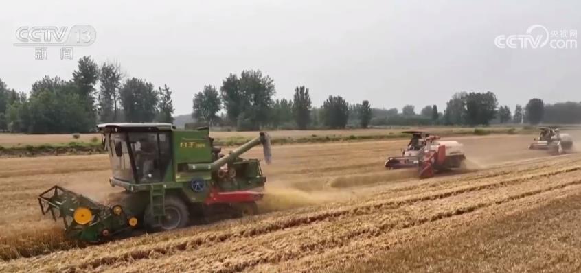 机械化助力 25万余亩小麦收割完成
