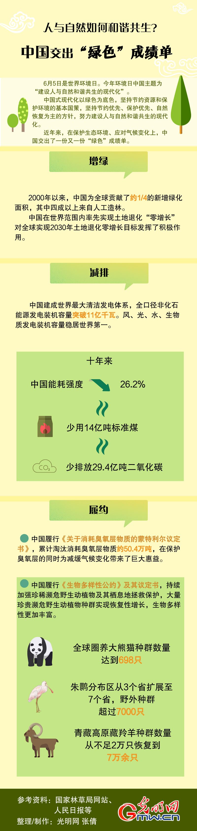 【世界环境日】人与自然如何和谐共生？中国交出“绿色”成绩单