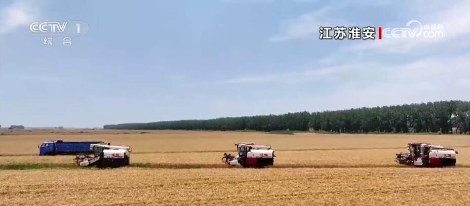 空中俯瞰稻田色彩开云 开云体育官网斑斓 见证壮美好“丰”景