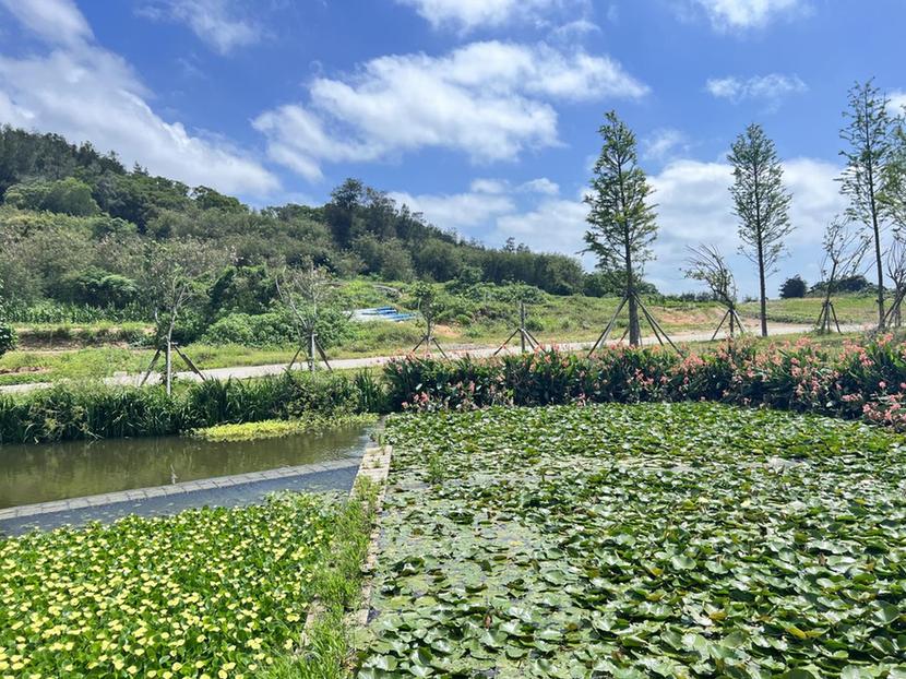 福建莆田市湄洲岛：用好再生水 打造宜居宜业美丽海岛