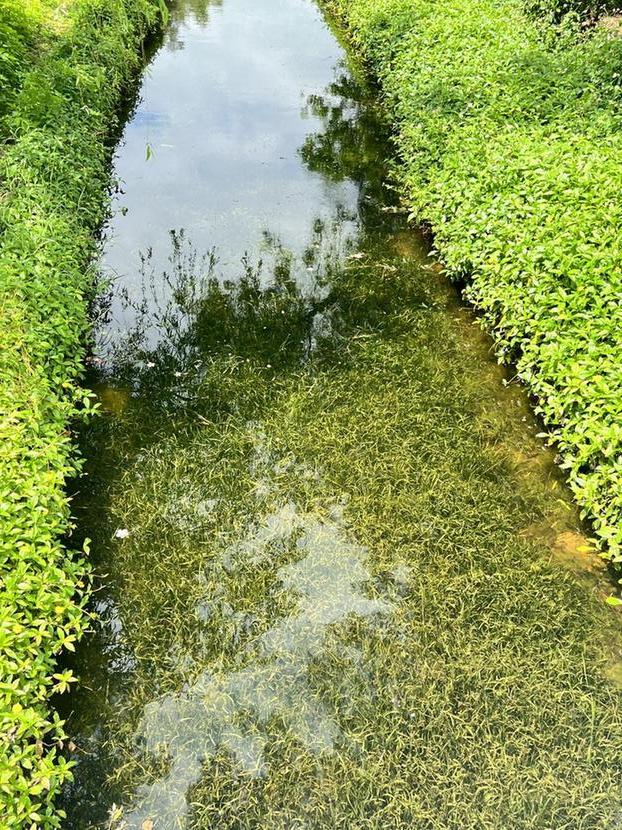 福建莆田市湄洲岛：用好再生水 打造宜居宜业美丽海岛