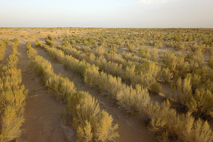 “拥抱”大漠，“绿染”家园——立体防沙治沙的甘肃实践