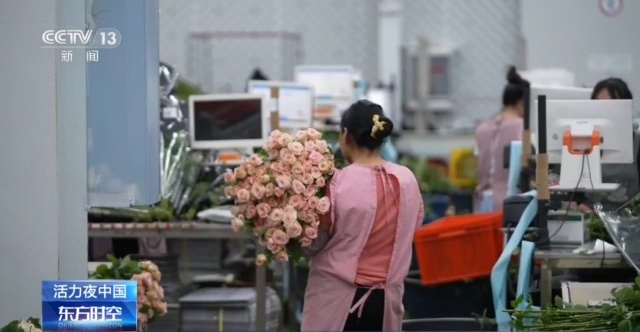 活力夜中国丨 探寻一朵鲜花背后的科技力量