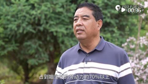 “县”在出发——行走百县话振兴 | 砂石地结“致富果” 紫色梦绽贺兰山 “县”在出发——行走百县话振兴 | 砂石地结“致富果” 紫色梦绽贺兰山