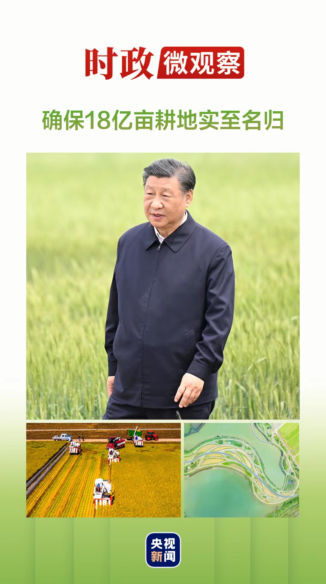 时政微观察丨像保护大熊猫一样保护耕地