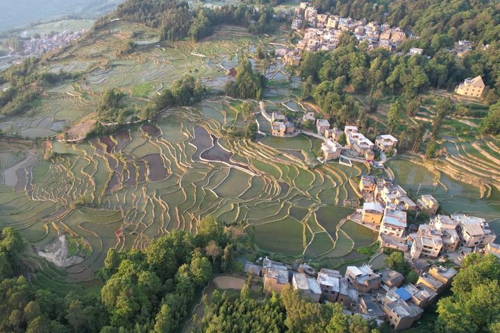 哈尼梯田申遗十周年 打造“活态”传承新样式