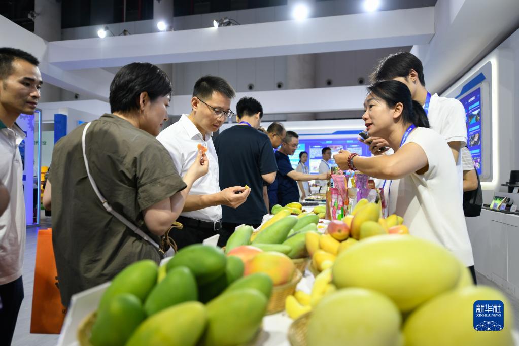 第十九届中国西部国际博览会开幕