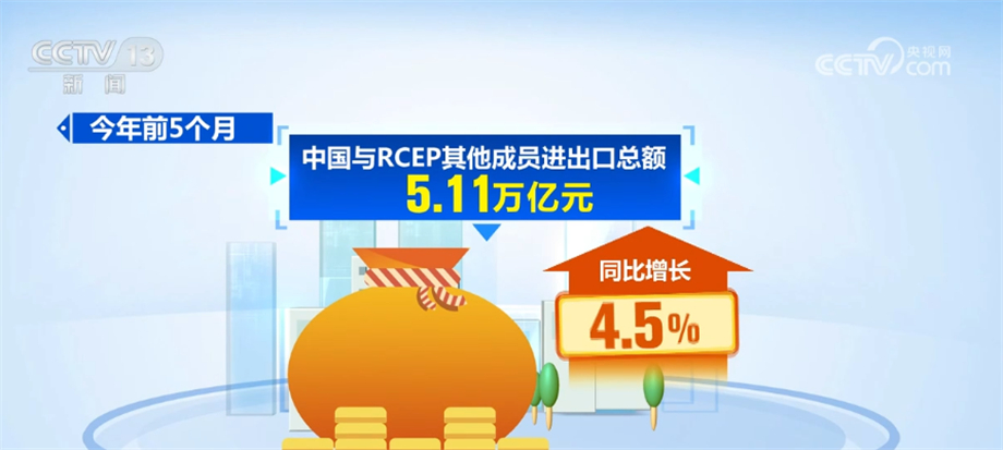 今年前5个月 中国与RCEP其他成员进出口额同比增4.5%