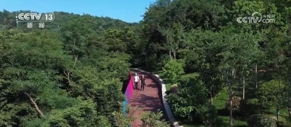 “园在城中、人在园中”生态修复让昔日荒山变身“天然氧吧”