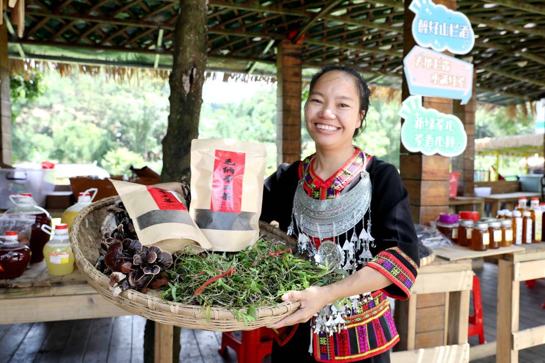 “毛纳村的大叶茶特别香，不信你们尝尝！”丨高质量发展调研行·海南站