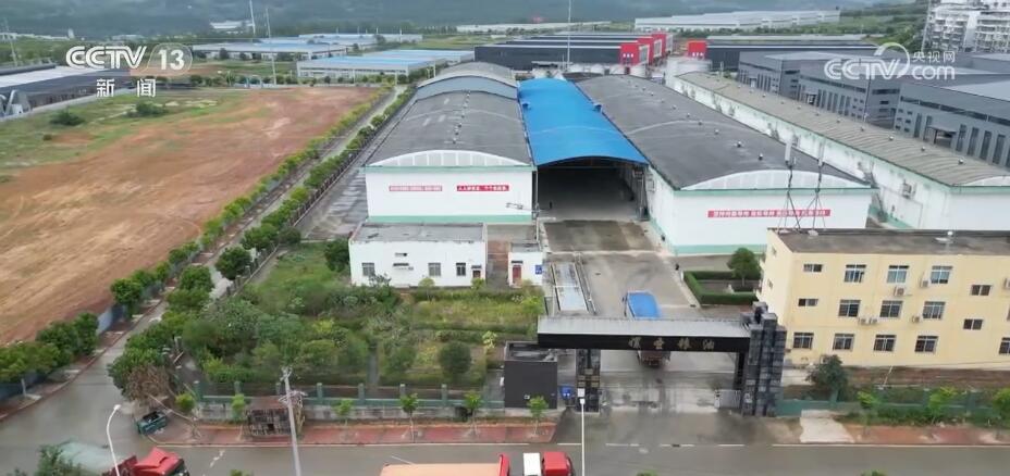 各地持续优化对农服务 加大科技投入守护“大国粮仓”