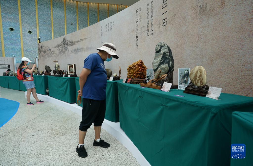昆明：石博会开幕人气旺