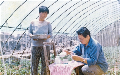 帮农民建大棚 给蔬菜当医生
